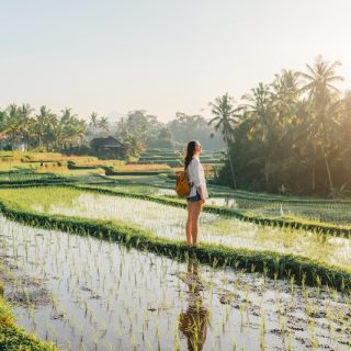Female traveler standing in Bali rice paddies during golden hour