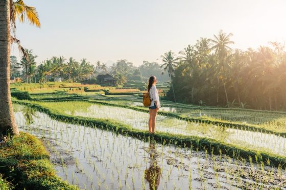 Female traveler standing in Bali rice paddies during golden hour