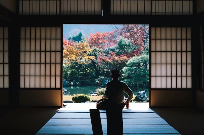 Person sitting in Japanese temple overlooking autumn garden with colorful fall foliage and peaceful water, representing Japan demographic crisis
