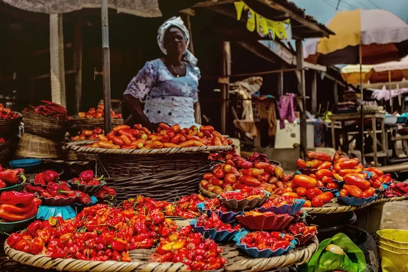 local market in West Africa with fresh produce reflecting regional economic resilience