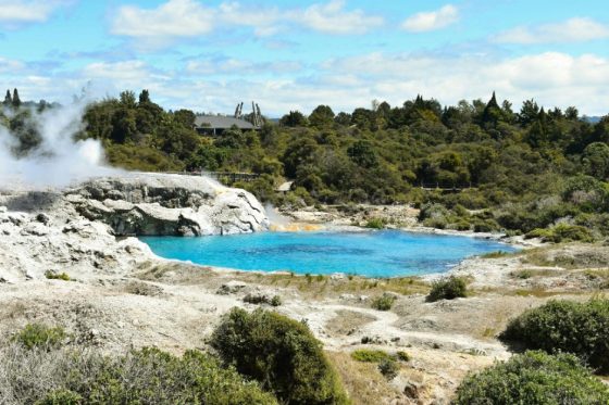 Kiwi Spa Secrets You Should Know