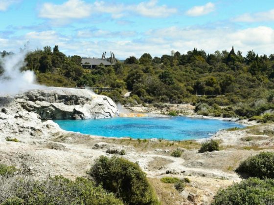 Kiwi Spa Secrets You Should Know