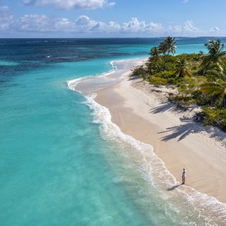 Aerial view a woman gazing out over the ocean along the shoreline of Shoal Bay Beach with crashing waves and palm trees on the island of Anguilla.