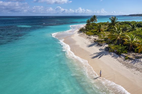 Aerial view a woman gazing out over the ocean along the shoreline of Shoal Bay Beach with crashing waves and palm trees on the island of Anguilla.
