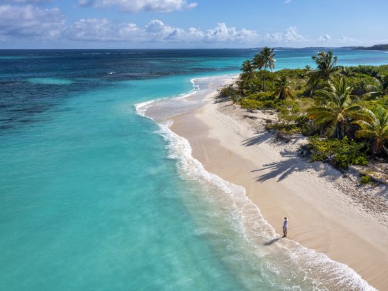 Aerial view a woman gazing out over the ocean along the shoreline of Shoal Bay Beach with crashing waves and palm trees on the island of Anguilla.