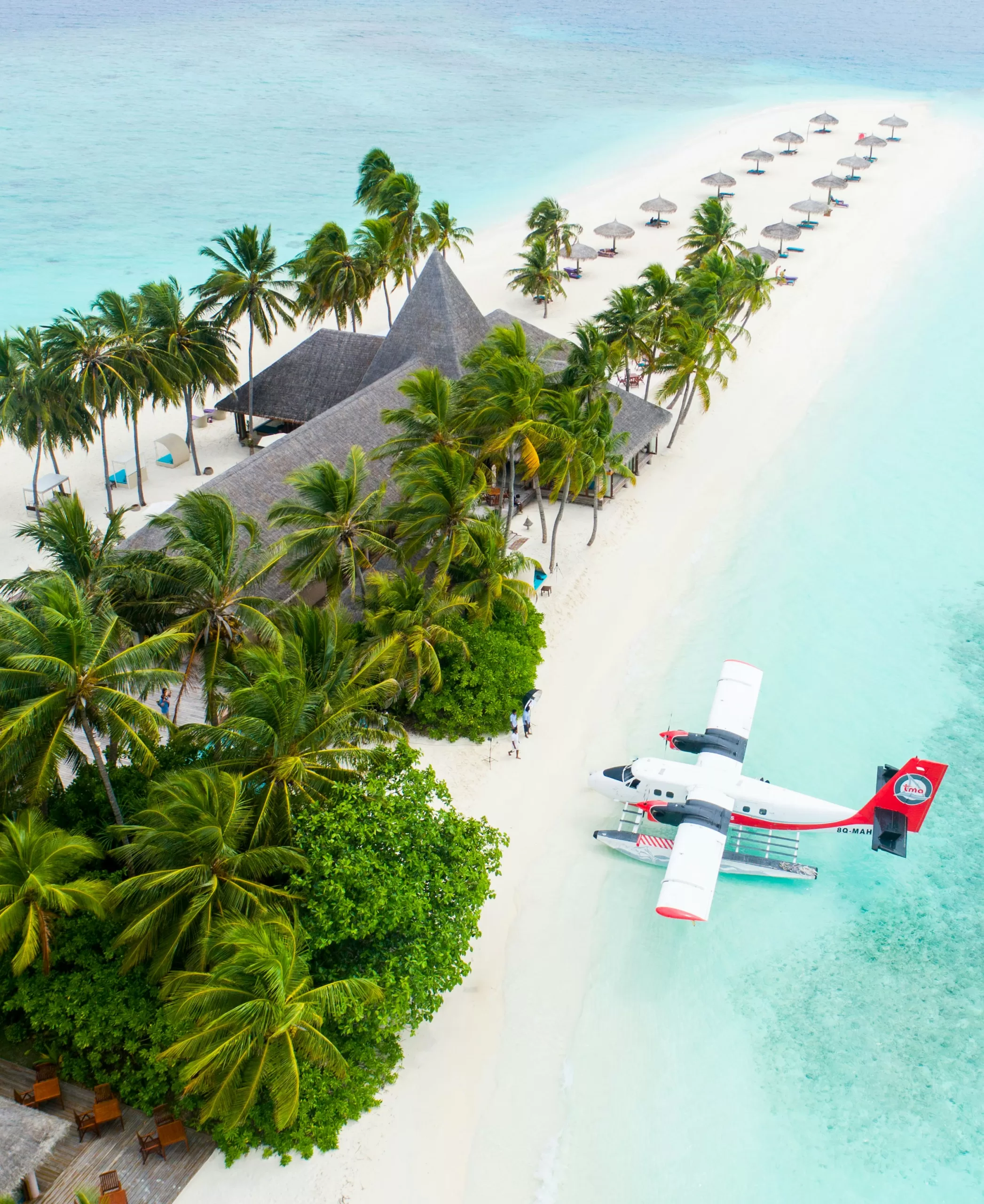 Seaplane landing near a tropical island with clear turquoise water and palm trees