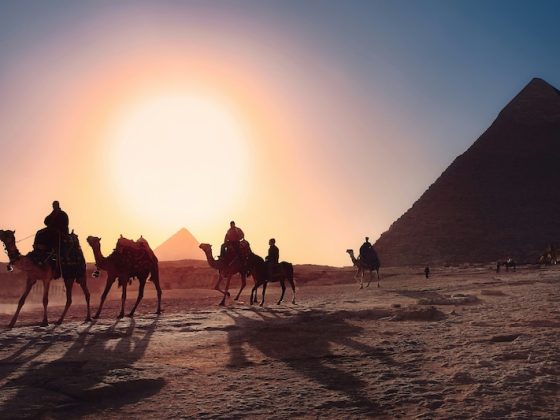 Why a Private Nile Cruise Should Be on Your Bucket List for the Ultimate Egyptian Adventure