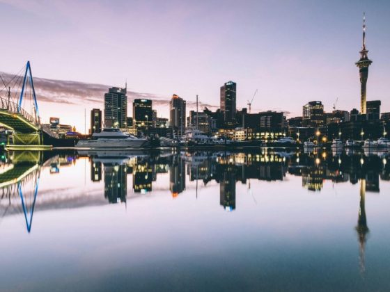 Rental Car vs Camper Van for Exploring New Zealand