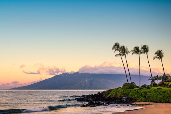Aerial view of a tropical coastline with turquoise water, rocky shore, dense greenery, and homes set along the edge of the sea
