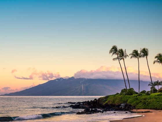 Aerial view of a tropical coastline with turquoise water, rocky shore, dense greenery, and homes set along the edge of the sea