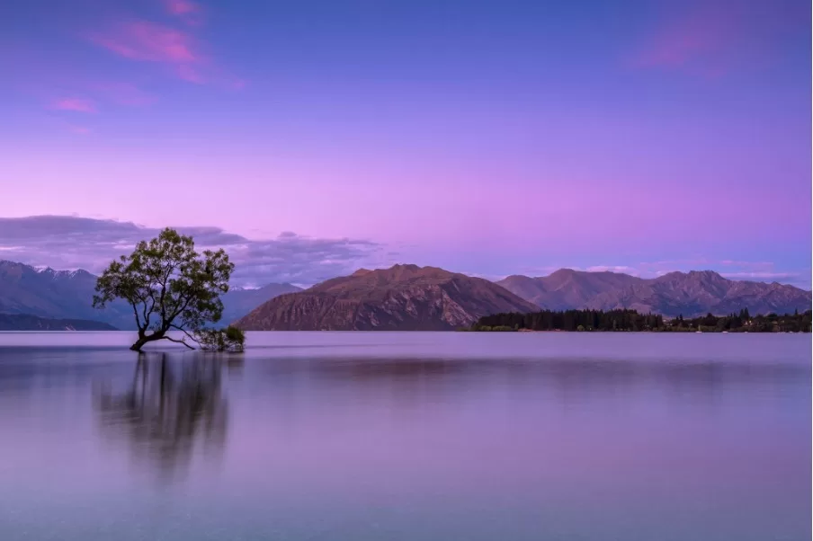 Rental Car vs Camper Van for Exploring New Zealand