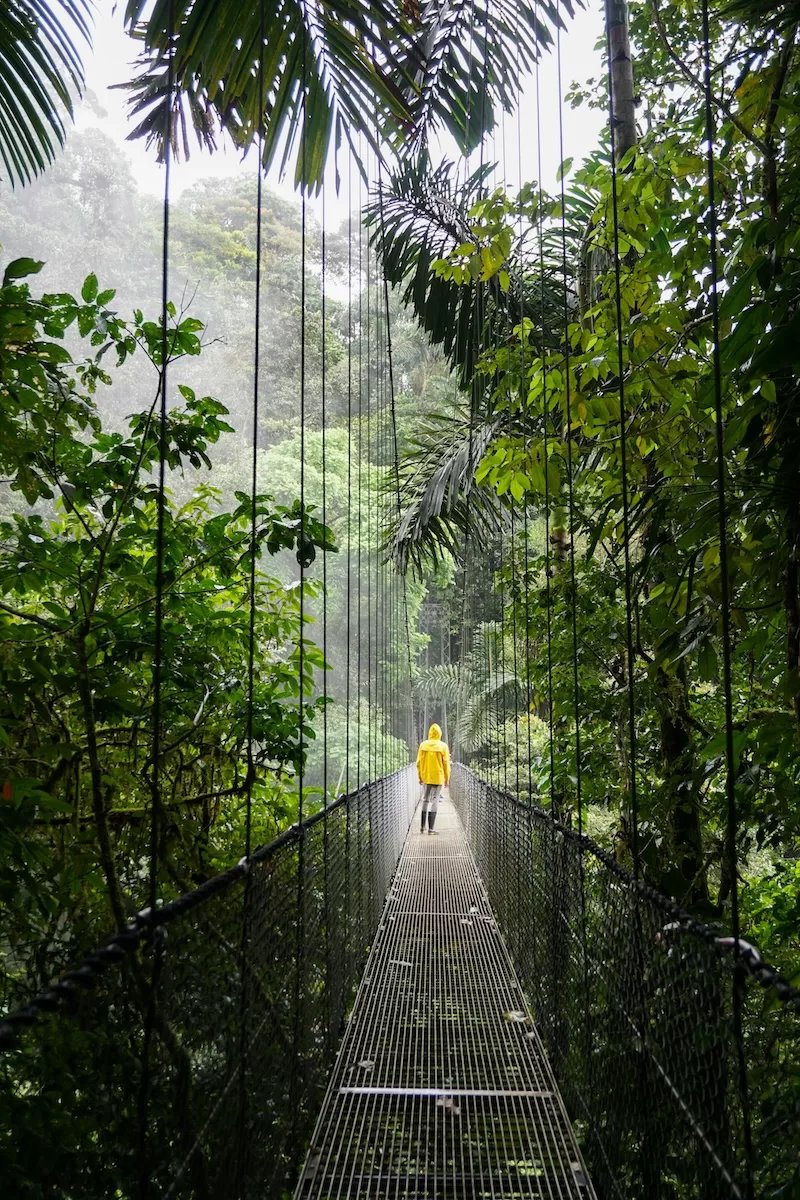 Person in a yellow rain jacket walking across a suspension bridge through dense tropical rainforest in Costa Rica
