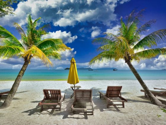 The Psychology of a Perfect Tropical Vacation