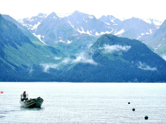 Camping and Fishing in Alaska: A True Wilderness Experience
