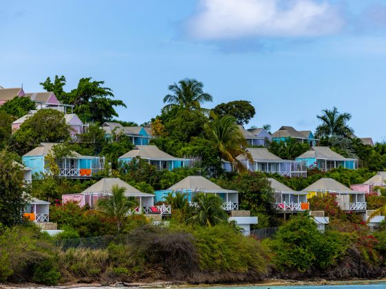 Colorful pastel cottages scattered across a lush hillside with palm trees and tropical greenery overlooking the coast