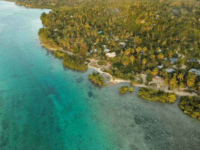 Aerial view of a tropical coastline with turquoise water and palm trees, representing global mobility and second passport options.