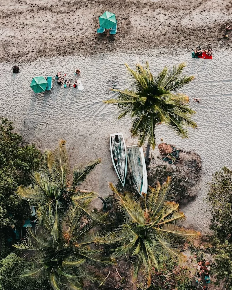 Aerial view of a tropical resort with palm trees, villas, pools, and ocean views