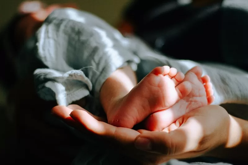 Newborn baby resting in an adult’s hands, reflecting demographic and population change
