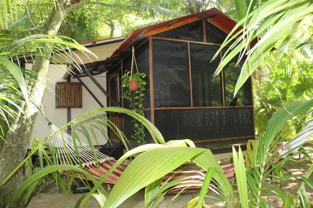 Screened resort bungalow surrounded by tropical palm trees
