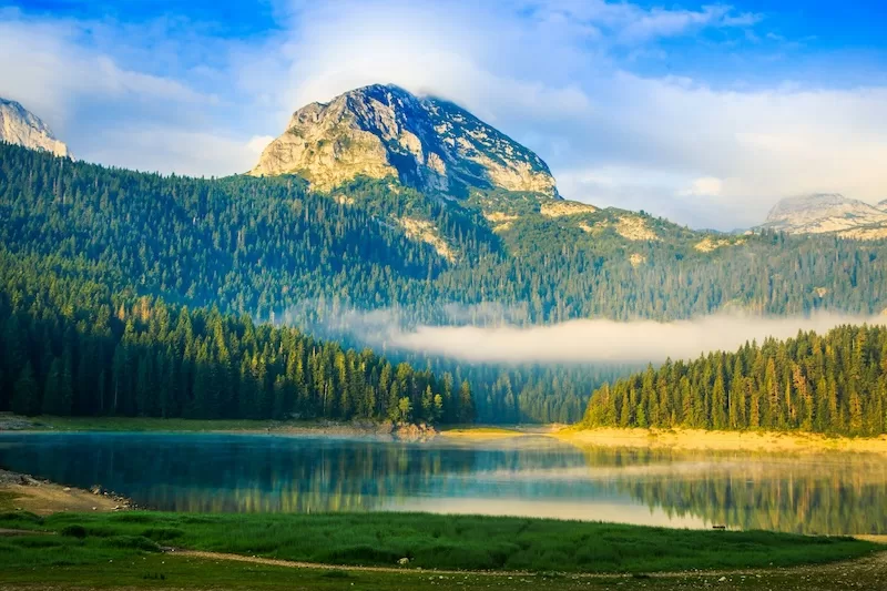 Mountain lake in Montenegro surrounded by pine forests and mist-covered peaks