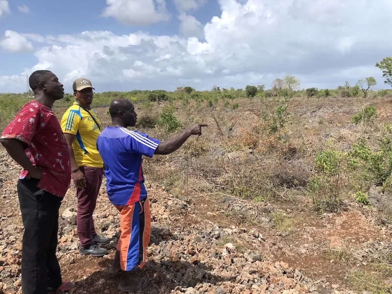 Local men surveying undeveloped land in Kendwa, Zanzibar.