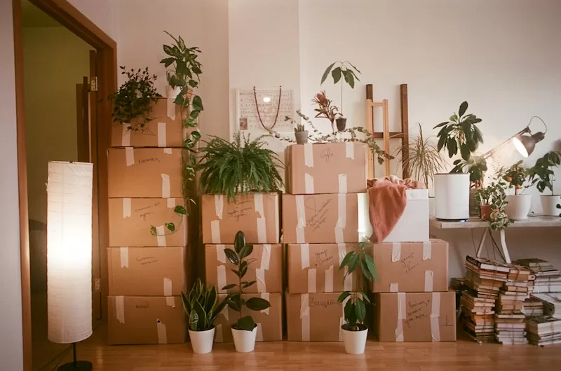 8 Essential Services for Expats Moving to a New Country