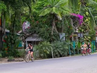 Cyclists riding along a lush tropical road in Costa Rica surrounded by palm trees and flowering plants