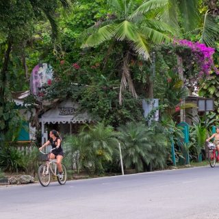 Cyclists riding along a lush tropical road in Costa Rica surrounded by palm trees and flowering plants