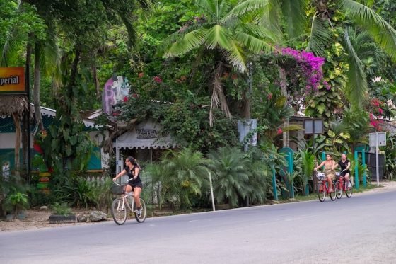 Cyclists riding along a lush tropical road in Costa Rica surrounded by palm trees and flowering plants