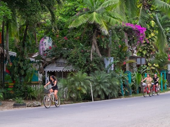 Cyclists riding along a lush tropical road in Costa Rica surrounded by palm trees and flowering plants