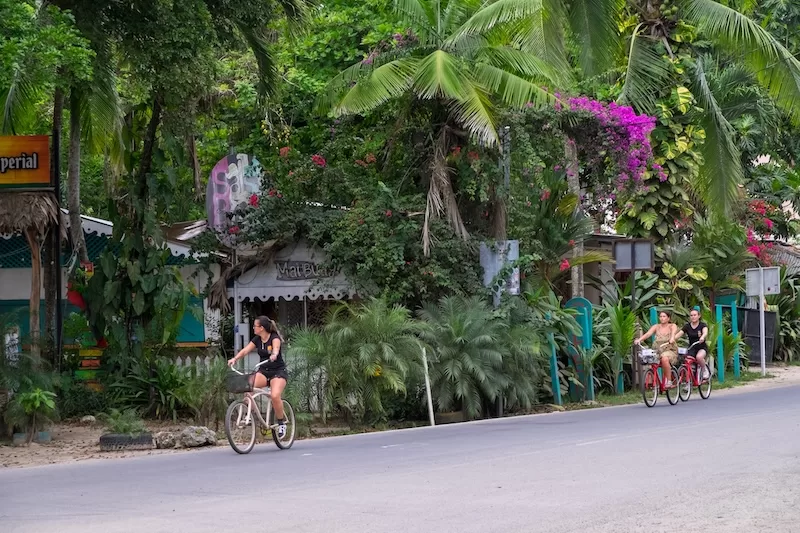 Cyclists riding along a lush tropical road in Costa Rica surrounded by palm trees and flowering plants