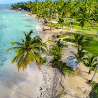 Aerial view of a palm-lined Dominican Republic beach with turquoise water and beachside umbrellas
