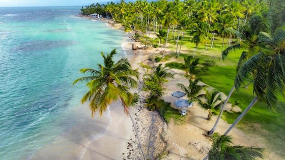 Aerial view of a palm-lined Dominican Republic beach with turquoise water and beachside umbrellas