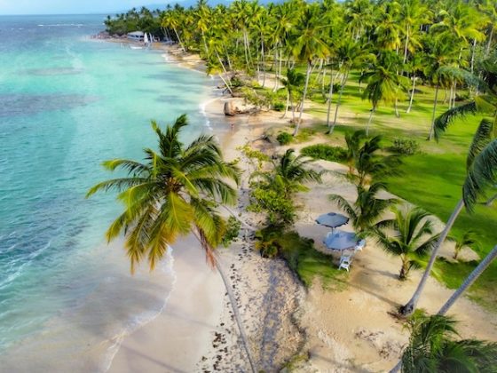 Aerial view of a palm-lined Dominican Republic beach with turquoise water and beachside umbrellas