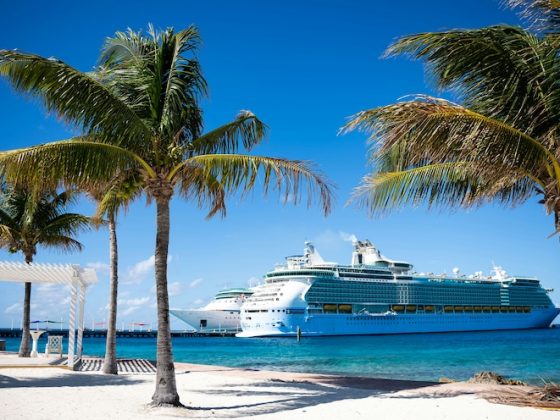 Cruise ship docked beside a Caribbean beach with palm trees