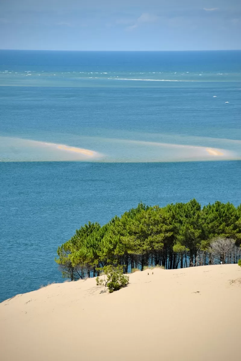 Coastal sand dune overlooking the ocean and offshore sandbanks