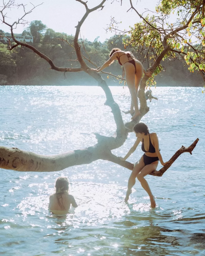 People wading and climbing over a tree branch above shallow water