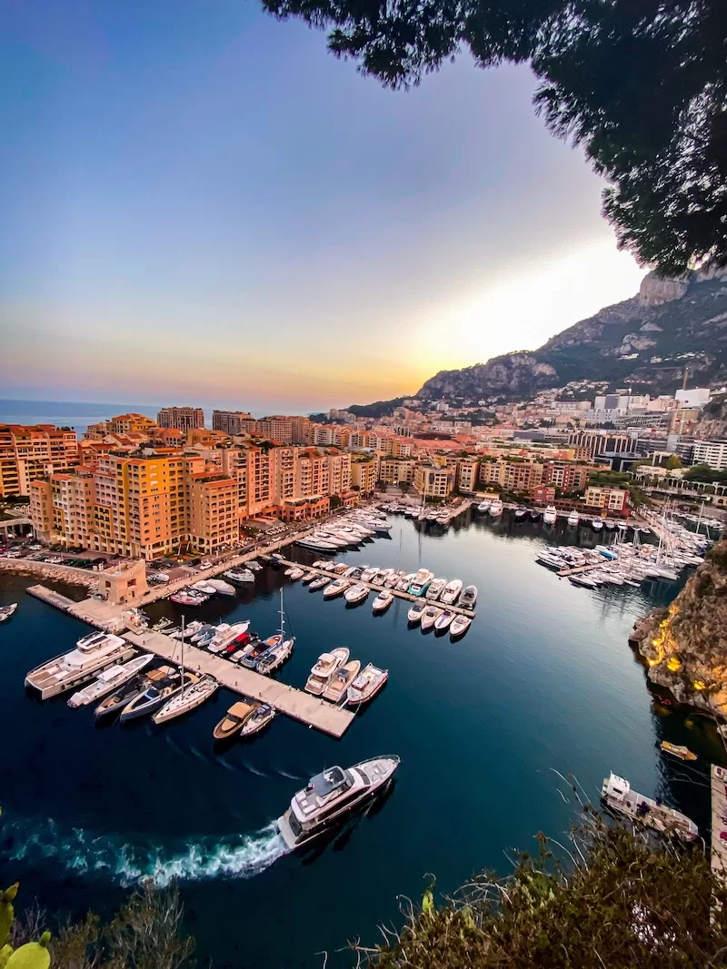 Monaco marina and waterfront apartments showing a dense wealthy city-state linked to long life expectancy
