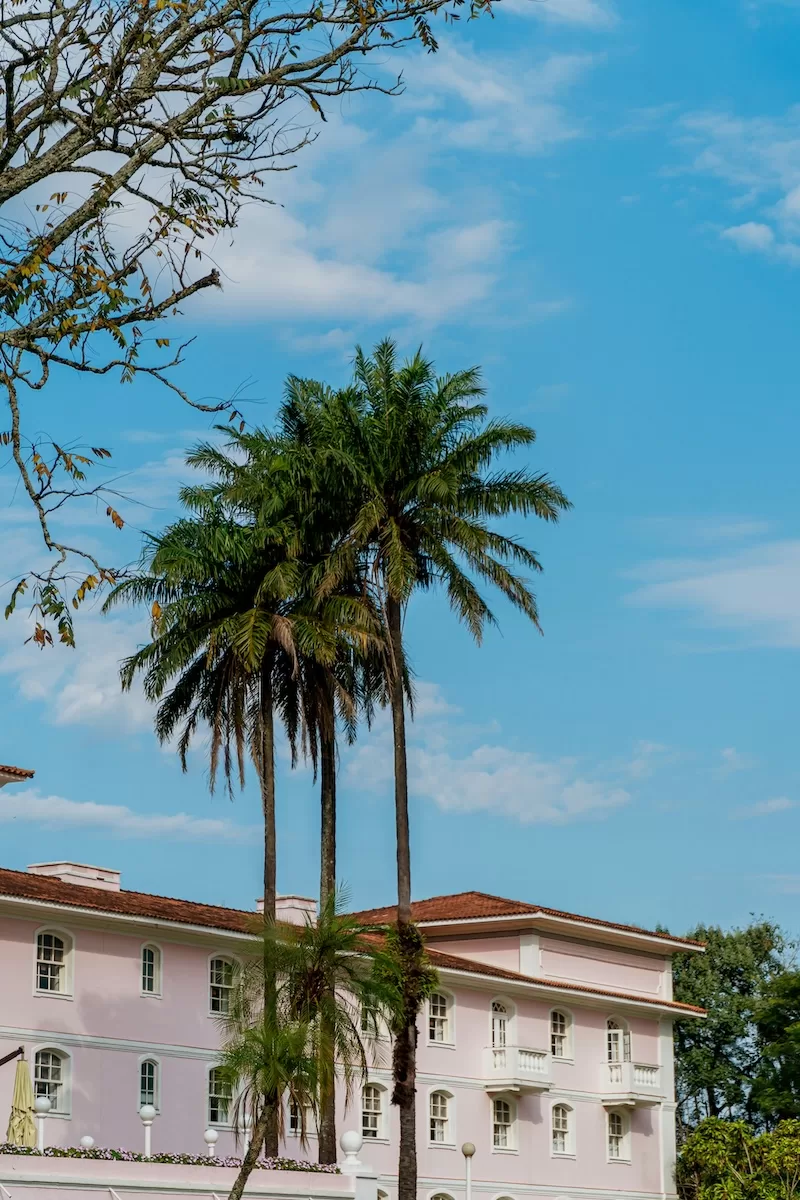 Tall palm trees beside a colonial-style building under a bright blue sky in Costa Rica