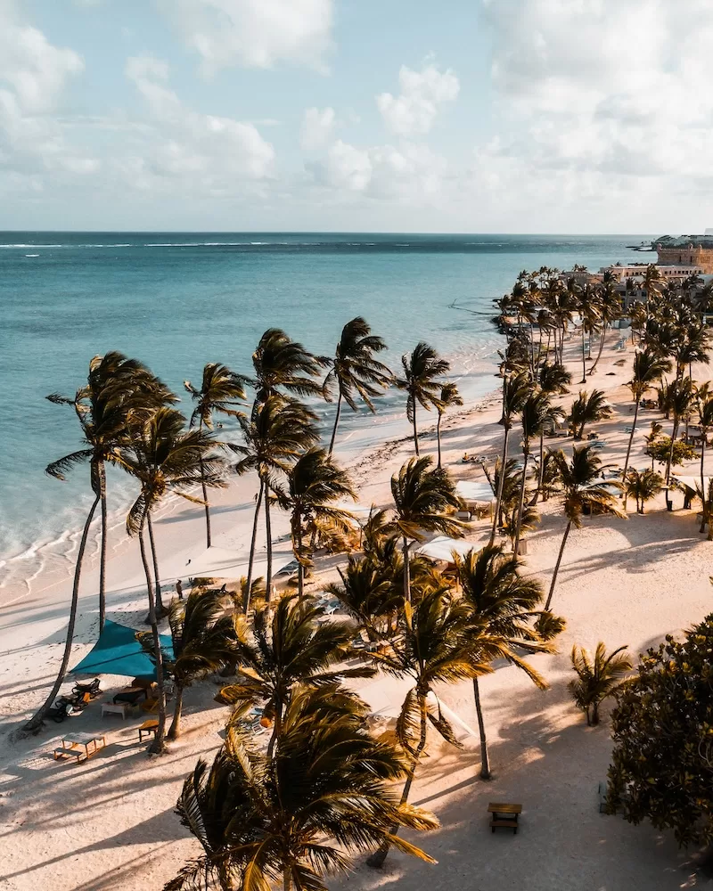 Aerial view of a Dominican Republic beach lined with swaying palm trees near a coastal resort
