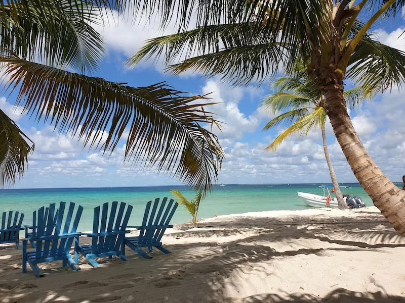 Beach chairs under palm trees on a Caribbean island