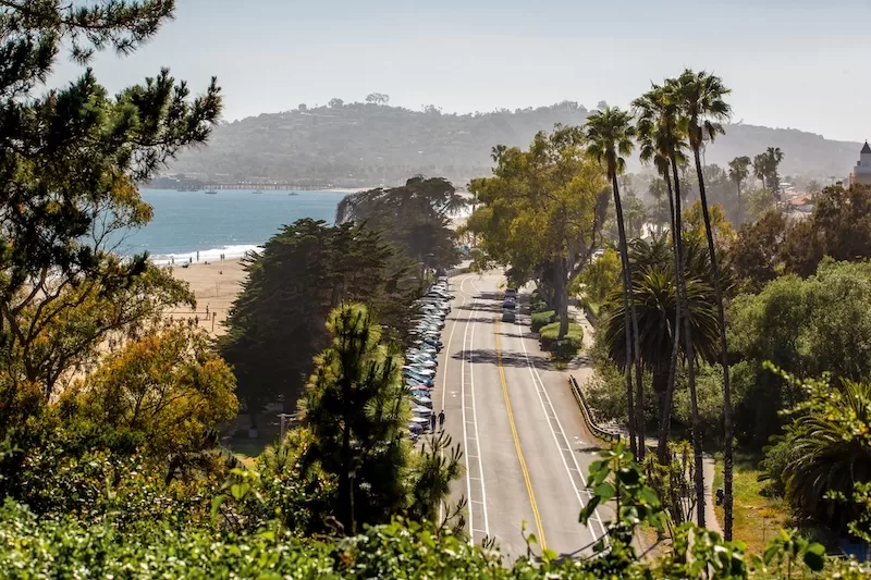 Palm-lined coastal road overlooking a bay with hills in the distance