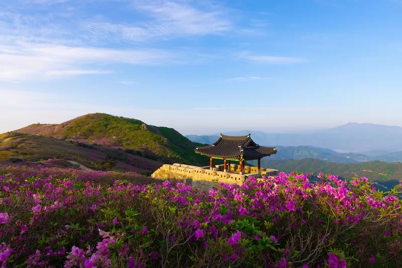 Korean mountain landscape and pavilion representing South Korea’s future longevity leadership