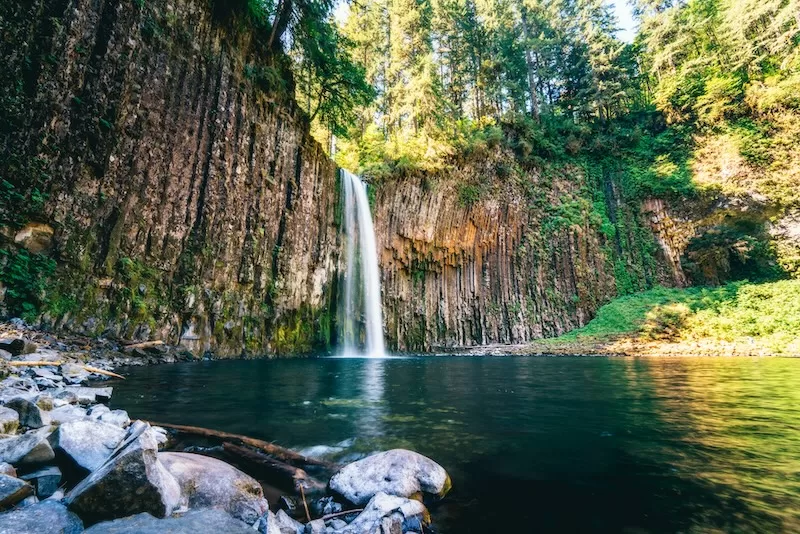 Essential Documents New Oregon Residents May Need to Translate