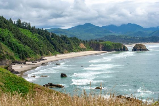 Essential Documents New Oregon Residents May Need to Translate