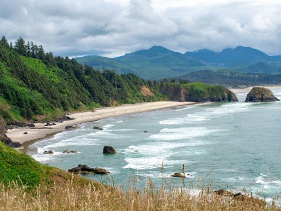 Essential Documents New Oregon Residents May Need to Translate