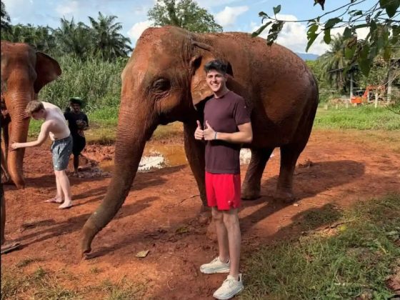 Young American teacher standing beside an elephant in Thailand