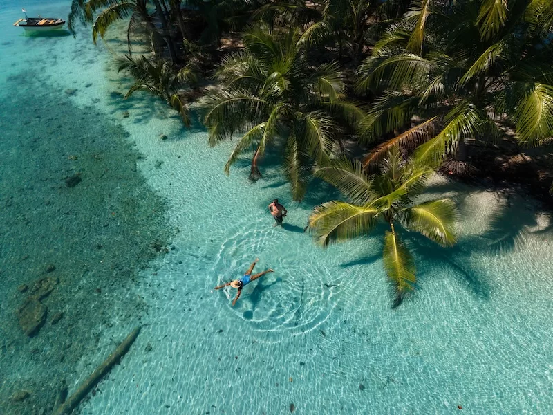 People swimming in clear tropical water beneath palm trees in Thailand