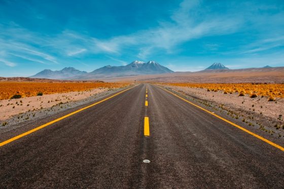Best Road Trip Accessories in 2026