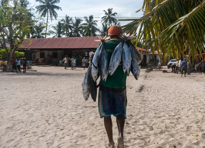A fisherman carrying his morning catch across the sand into Kendwa village, Zanzibar